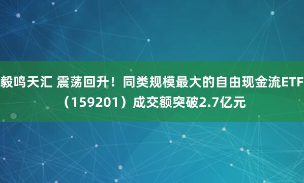 毅鸣天汇 震荡回升！同类规模最大的自由现金流ETF（159201）成交额突破2.7亿元