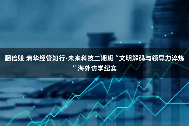 翻倍赚 清华经管知行·未来科技二期班“文明解码与领导力淬炼”海外访学纪实