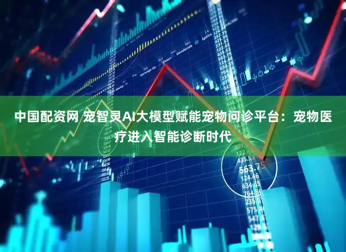 中国配资网 宠智灵AI大模型赋能宠物问诊平台：宠物医疗进入智能诊断时代