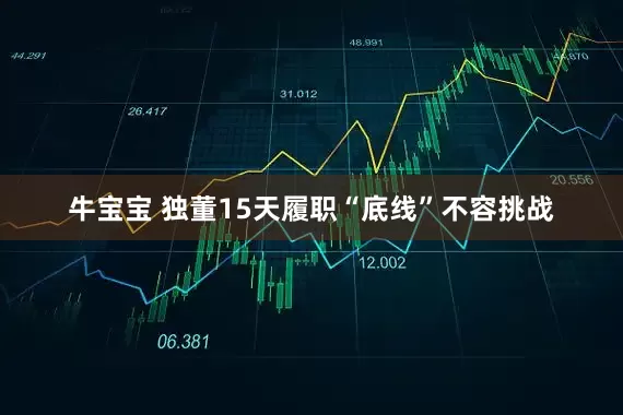 牛宝宝 独董15天履职“底线”不容挑战