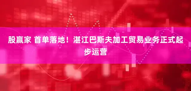 股赢家 首单落地！湛江巴斯夫加工贸易业务正式起步运营